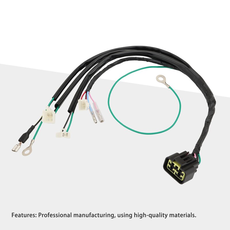 Motorcycle Wiring Harness Kit Supplier - Digital for Lifan Dirt Pit Bike