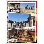 Sticker Cutting Machine