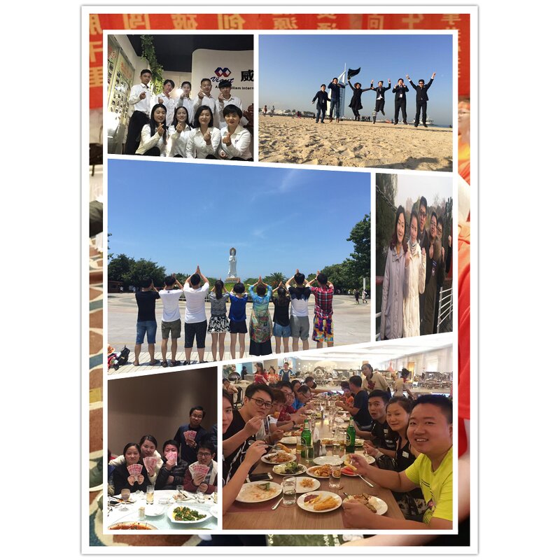 Sticker Sheet Cutter Supplier - Digital A3 Die Cutting Auto Feeding