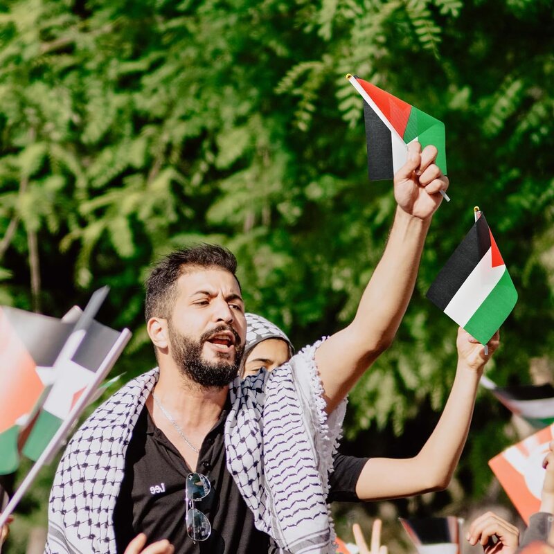 Car Flag Manufacturer - OEM/ODM Custom Hand Held Palestine Mini Polyester