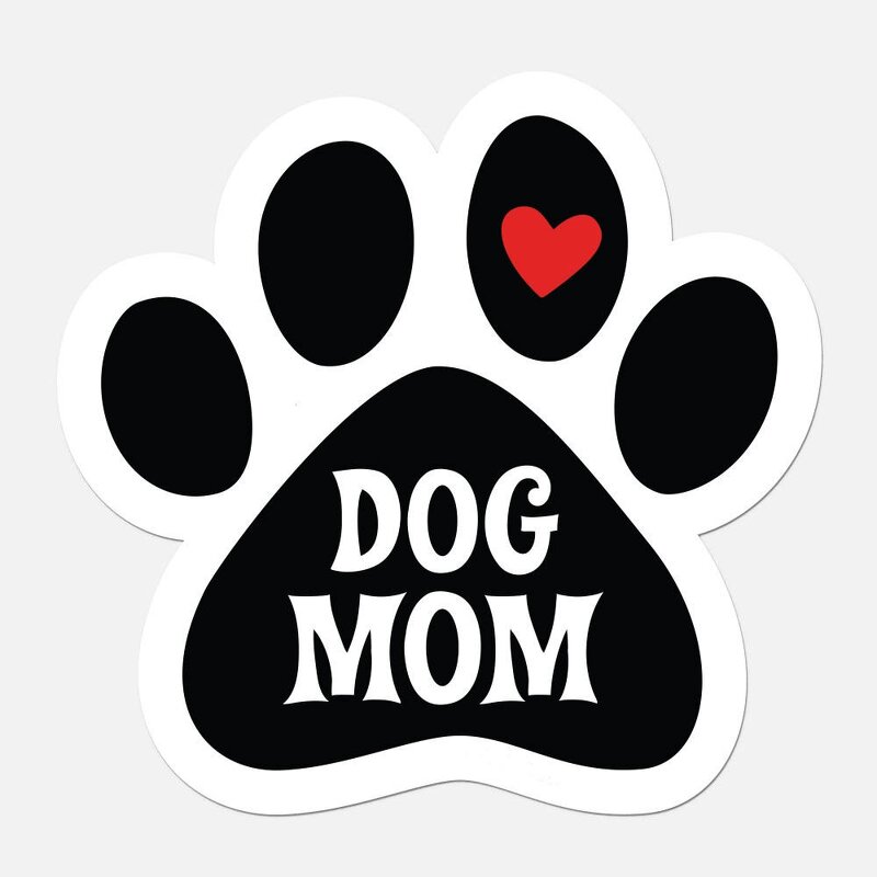 Photo Magnet Manufacturer - OEM/ODM Custom Personalized Waterproof Fridge