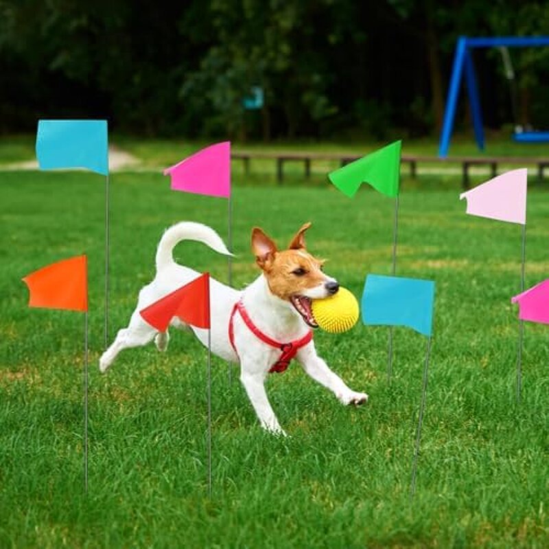 Anniversary Bunting Manufacturer - OEM/ODM Custom VJ Day 80th 10m 30-Flag