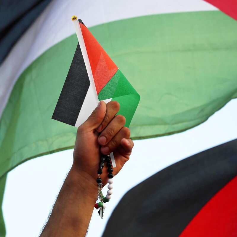 Car Flag Manufacturer - OEM/ODM Custom Hand Held Palestine Mini Polyester
