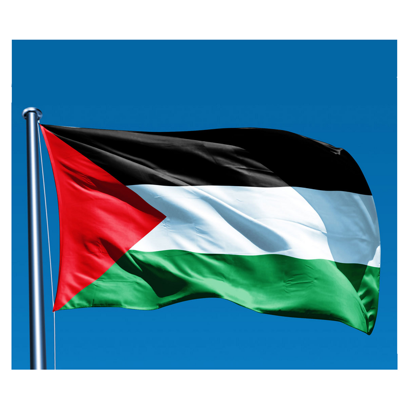 Palestine Flag Manufacturer - OEM/ODM Custom 3x5ft 90x150cm for Event Activity