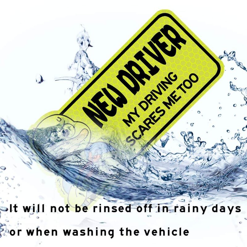 Photo Magnet Manufacturer - OEM/ODM Custom Personalized Waterproof Fridge