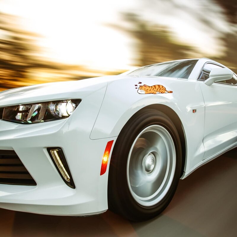 Car Decal Manufacturer - OEM/ODM Custom Print Removable Vinyl for Cars Body