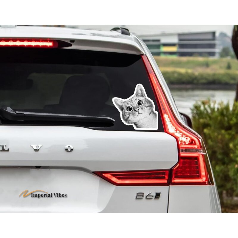 Car Sticker Manufacturer - OEM/ODM Custom UV Printed Waterproof Vinyl Decals