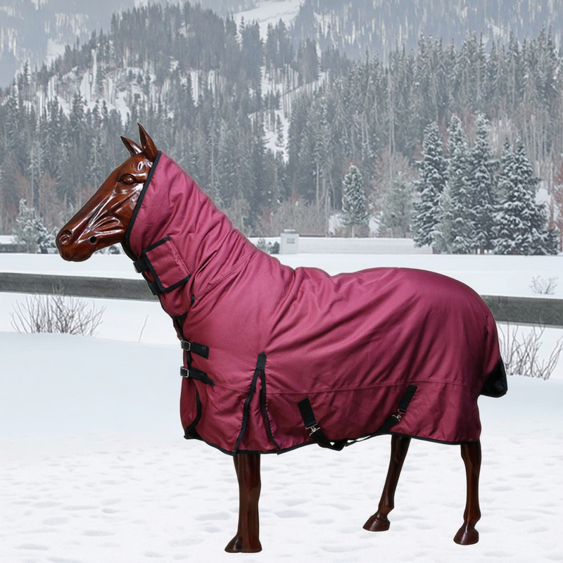 Horse Turnout Rug Manufacturer - OEM/ODM Custom Wholesale Blanket Show Sheet