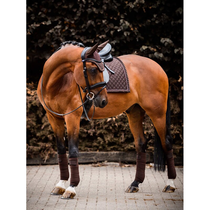 Dressage Saddle Pad Manufacturer - OEM/ODM Custom Fashion Stylish Competition