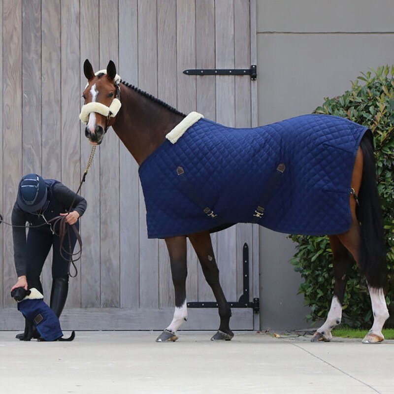 Horse Rug Manufacturer - OEM/ODM Custom Turnout Stable Combo Blanket