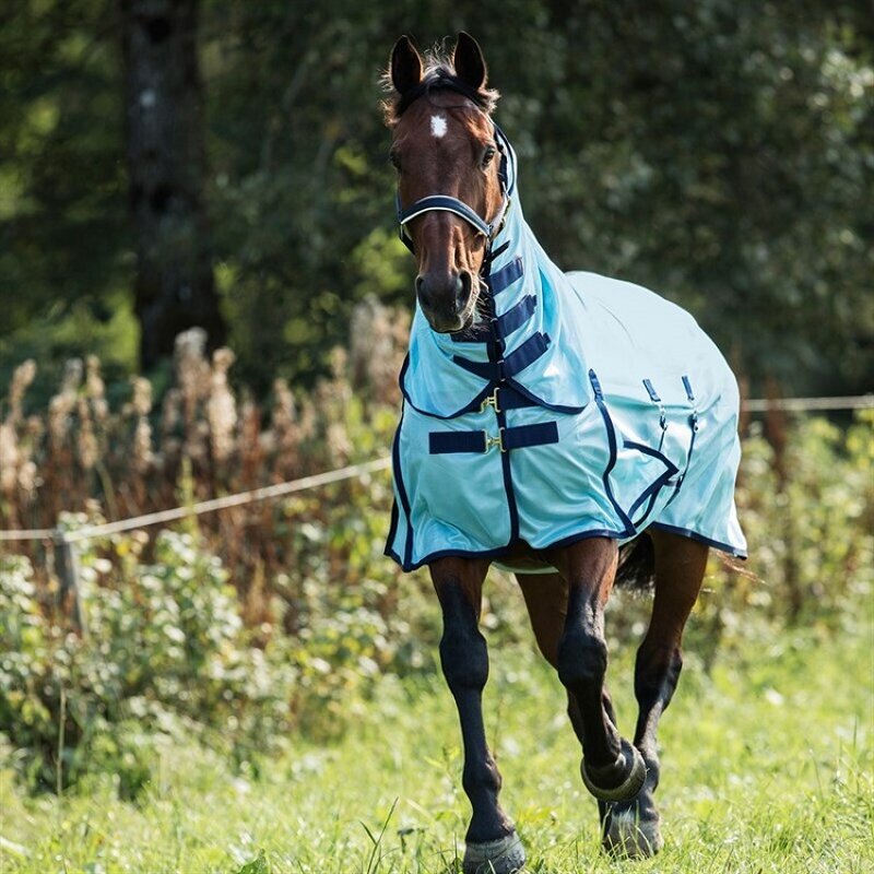 Horse Fly Rug Manufacturer - OEM/ODM Custom Professional Comfortable Breathable