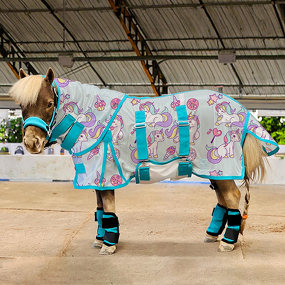 Mini Horse Rug Manufacturer - OEM/ODM Custom Summer Mesh Equine Sheets