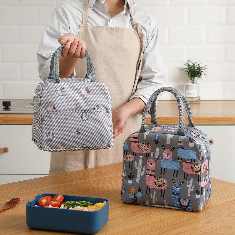 Insulated Lunch Bag Manufacturer - New Arrival Thickened Portable School Work Bag