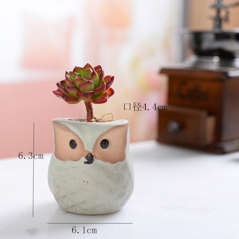 Owl Plant Pot Manufacturer - OEM/ODM Custom Mini Ceramic Succulent Decoration