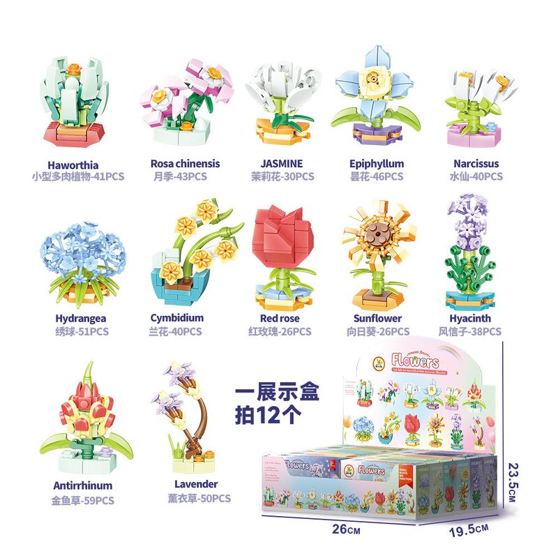 Dinosaur Building Toy Manufacturer - OEM/ODM Custom 12pcs Tyrannosaurus 3D Puzzle