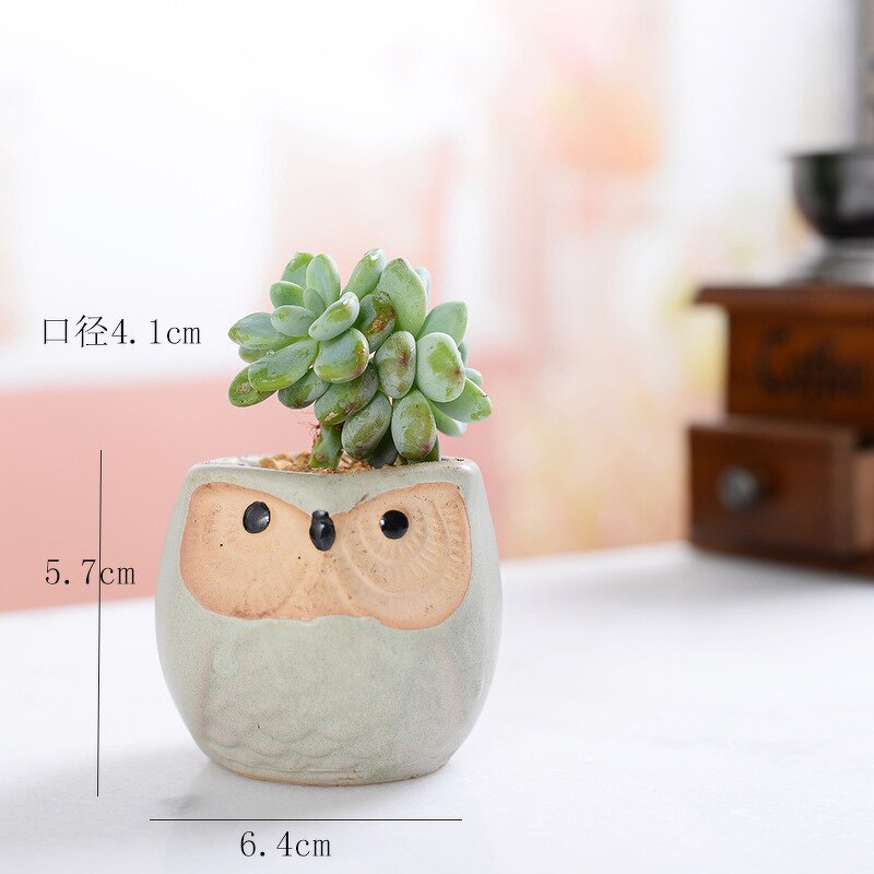 Owl Plant Pot Manufacturer - OEM/ODM Custom Mini Ceramic Succulent Decoration