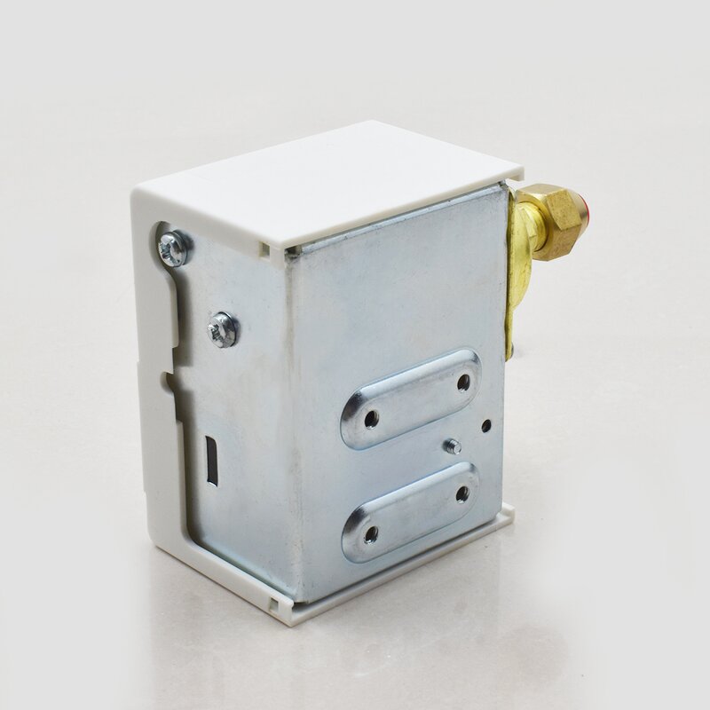 Pressure Control Switch Manufacturer - OEM/ODM Custom SSNS-110 Differential Low