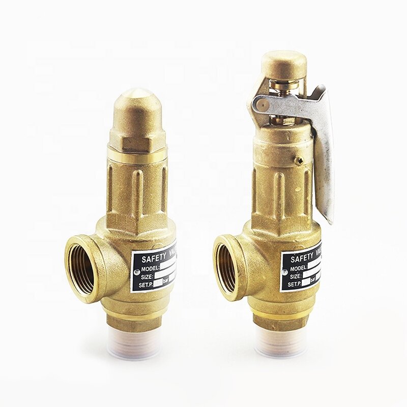 Safety Relief Valve Manufacturer - OEM/ODM Custom Taizhou 1/8-1/2 Spring Brass