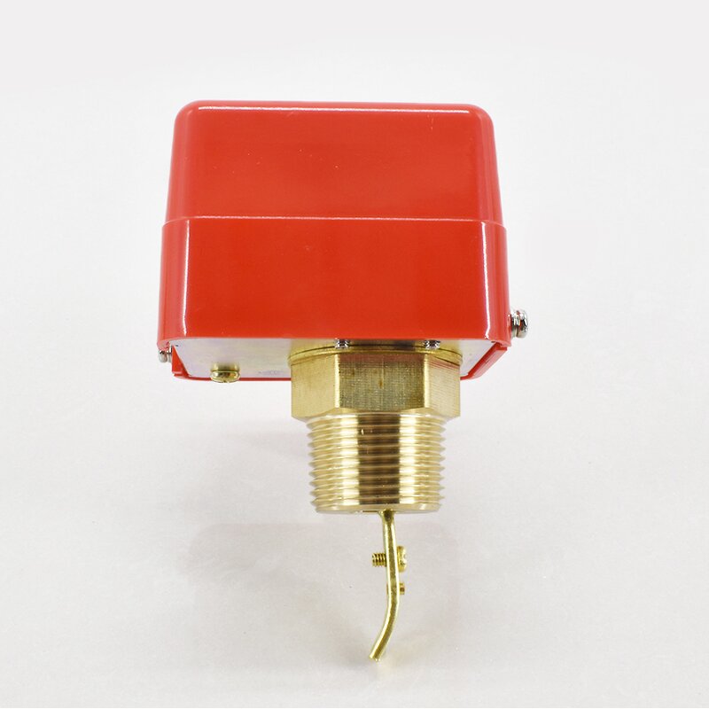 Water Flow Sensor Manufacturer - OEM/ODM Custom HFS Series 1'' Brass Paddle