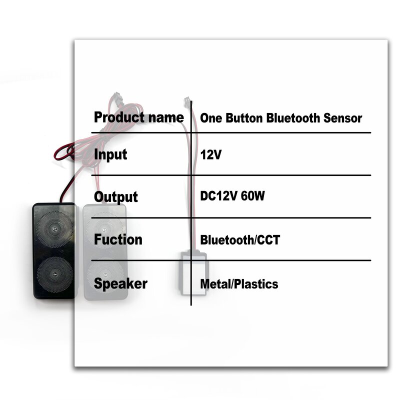 One-Button Mirror Sensor Manufacturer - OEM/ODM Custom 60W 12V 5A Bluetooth