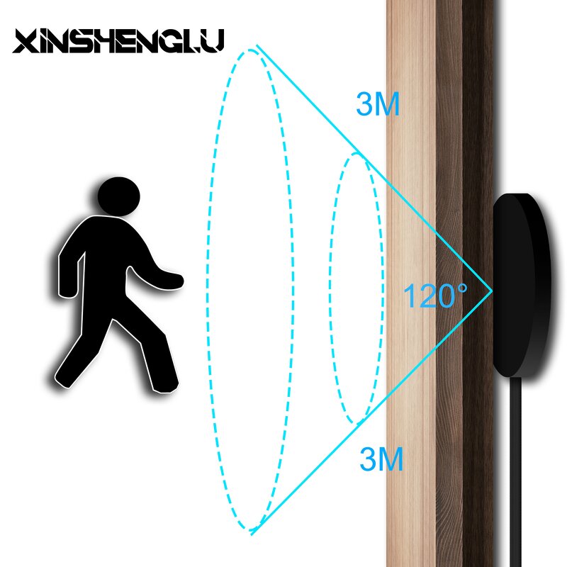 Hidden Motion Sensor Switch Manufacturer - OEM/ODM Custom 12V 24V T Sub-control