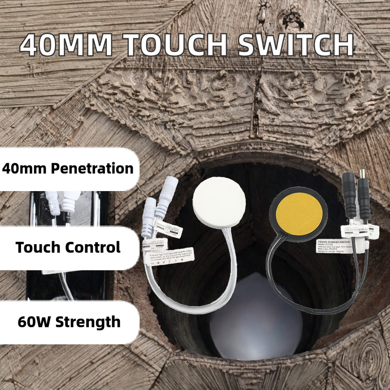 Wooden Touch Sensor Switch Manufacturer - OEM/ODM Custom 40mm Panel 12V 24V 60W
