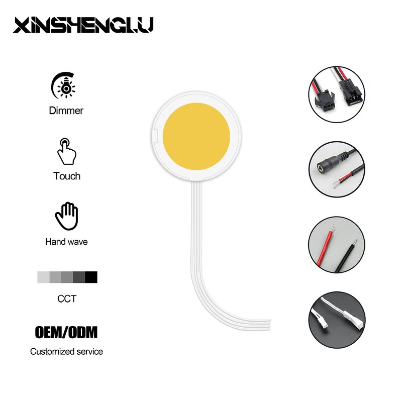 Single Touch Switch Manufacturer - OEM/ODM Custom DC 12V 5A 60W CCT Memory