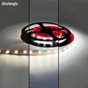 Smart LED Strip Manufacturer - OEM/ODM Custom 12V 60leds/m 2 Colors CCT