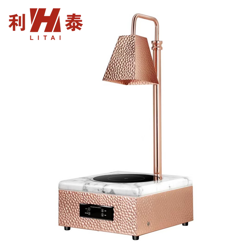 Food Warmer Lamp Manufacturer - OEM/ODM Custom Wood Color Temperature Control