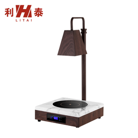 Food Warmer Lamp Manufacturer - OEM/ODM Custom Wood Color Temperature Control