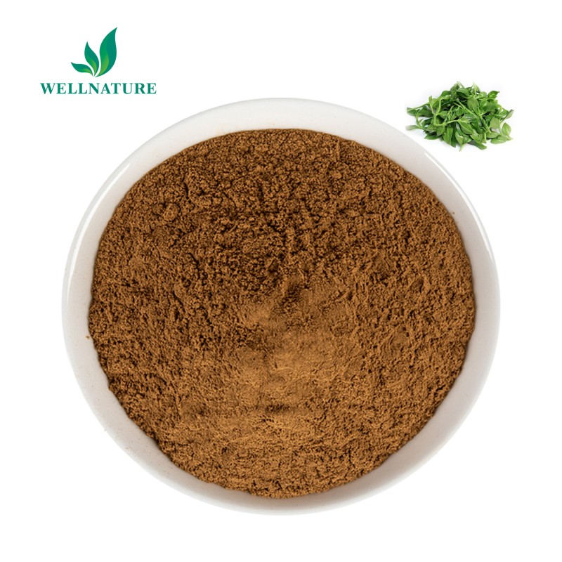 Wholesale Andrographis Paniculata Leaf Extract Andrographis Powder 30%