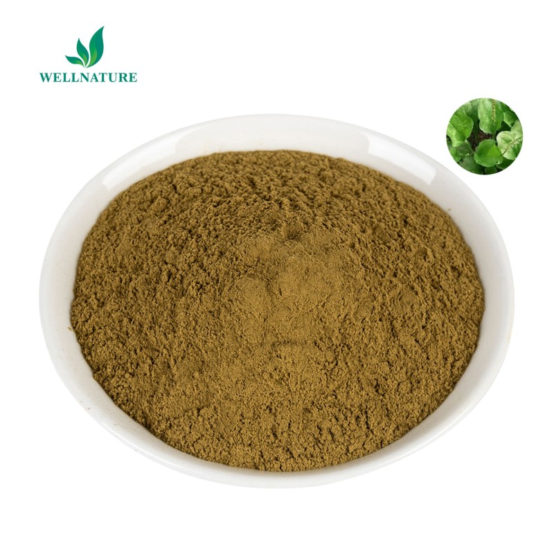Best Selling Good Price Lysimachia Extract Lysimachiae Herba Lysimachia Extract Powder