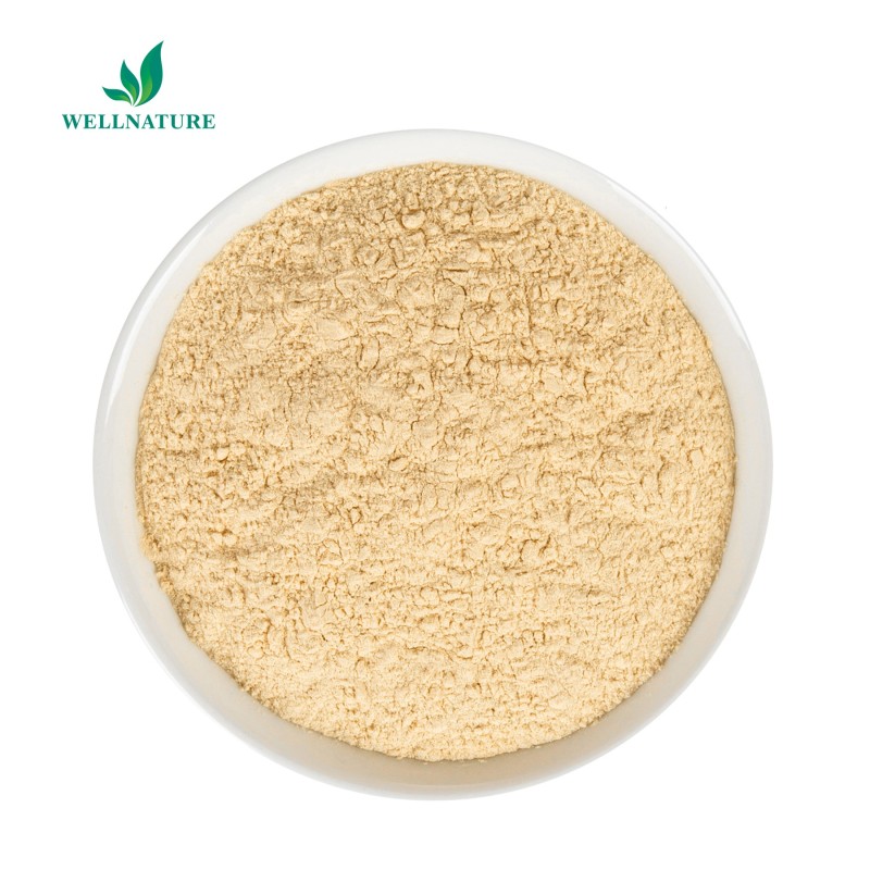 Factory Supply Tea Seed Extract Tea Saponin 60% 98% Tea Saponin Powder