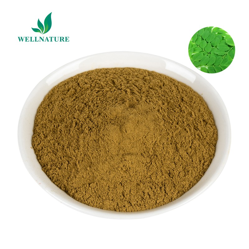 Wholesale Food Additive Free Sample Moringa Leaf Powder Moringa Leaf Extract Powder