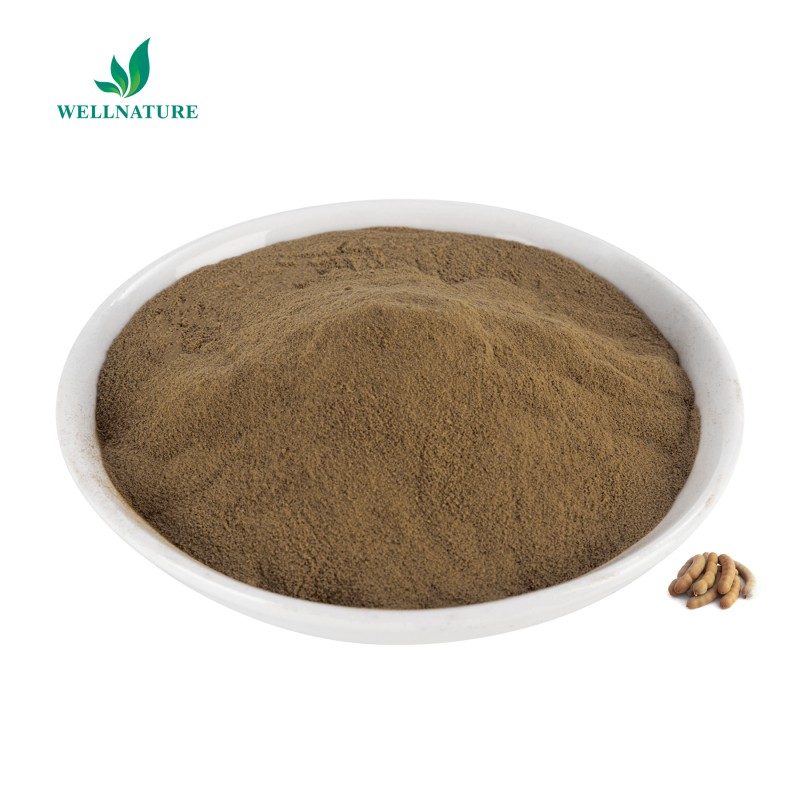Wellnature Factory Price Organic Tamarind Extract Seedless Kernel Tamarind Seed Powder