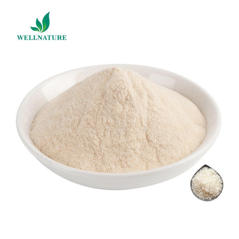 Wholesale Price Hydrolyzed Rice Protein Powder Organic Peptide Rice Protein Powder