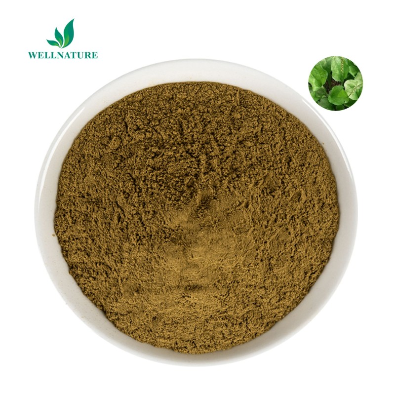 Best Selling Good Price Lysimachia Extract Lysimachiae Herba Lysimachia Extract Powder