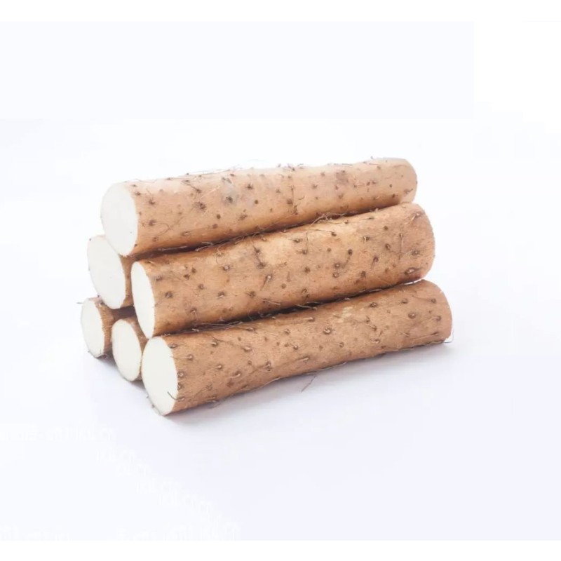 Manufacturer Supply Wild Yam Extract 20% Diosgenin Powder Natural Wild Yam Powder