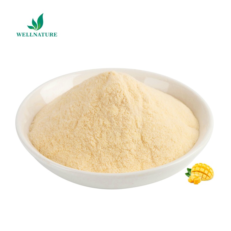 Wholesale Organic Mango Fruit Juice Powder Food Grade Mango Fruit Juice Powder