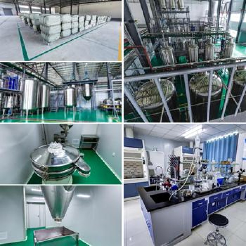 Wholesale Food Additive Free Sample Moringa Leaf Powder Moringa Leaf Extract Powder