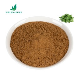 Wholesale Andrographis Paniculata Leaf Extract Andrographis Powder 30%