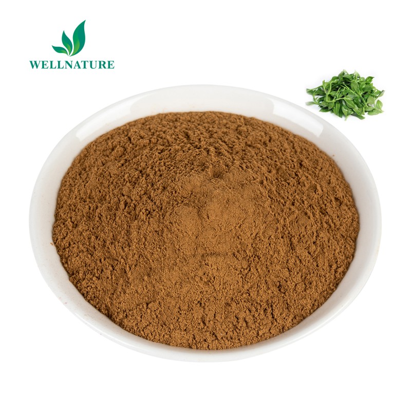 Wholesale Andrographis Paniculata Leaf Extract Andrographis Powder 30%