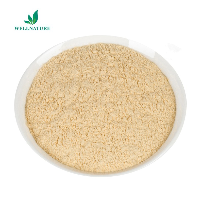 Factory Supply Tea Seed Extract Tea Saponin 60% 98% Tea Saponin Powder