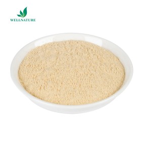 Factory Supply Tea Seed Extract Tea Saponin 60% 98% Tea Saponin Powder