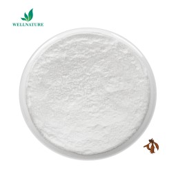 Herbal Plant Pueraria Mirifica Extract Puerarin Kudzu Extract Puerarin 98% Powder