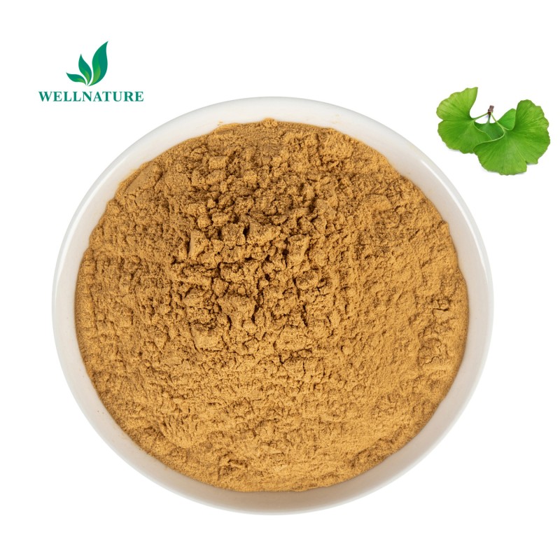 Wholesale Price Grade Ginkgo Leaf Extract Organic Ginkgo Biloba Extract Powder Gingko Extract