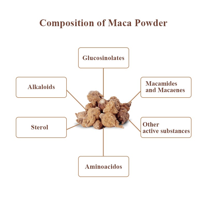 Men's Energy Black Maca Root Powder 5% Factory Organic Black Maca Powder