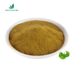 Herbal Extract Natural Organic Ginkgo Biloba Extract 24% Flavonoids Ginkgo Leaf Extract Powder
