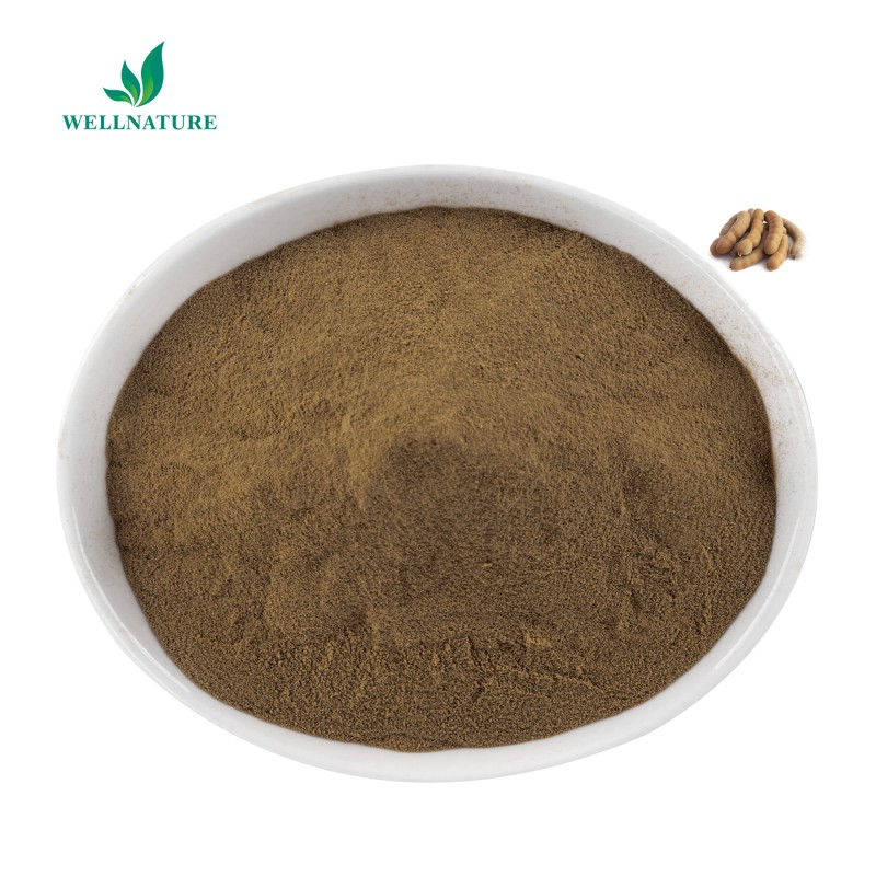 Wellnature Factory Price Organic Tamarind Extract Seedless Kernel Tamarind Seed Powder
