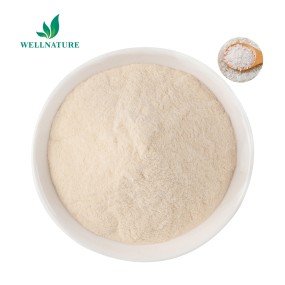 Wholesale Price Hydrolyzed Rice Protein Powder Organic Peptide Rice Protein Powder